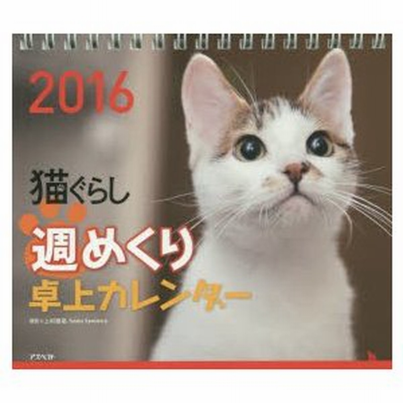 新品本 16 猫ぐらし 週めくり卓上カレンダー 上村 雄高 撮影 通販 Lineポイント最大0 5 Get Lineショッピング