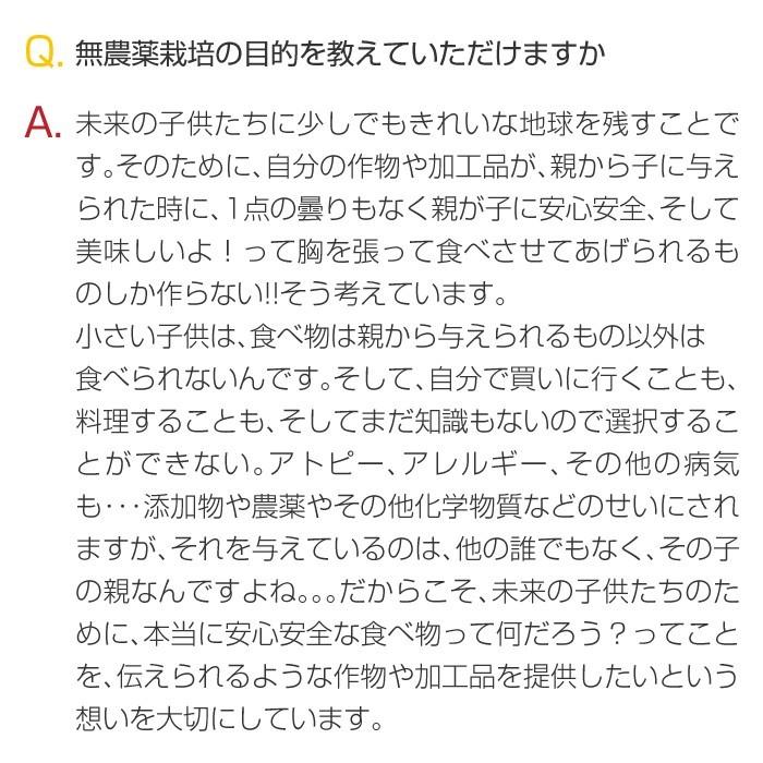 もち麦 もちむぎ 300g 無農薬 無肥料 自然栽培 ダイシモチ 宮崎県産 食物繊維