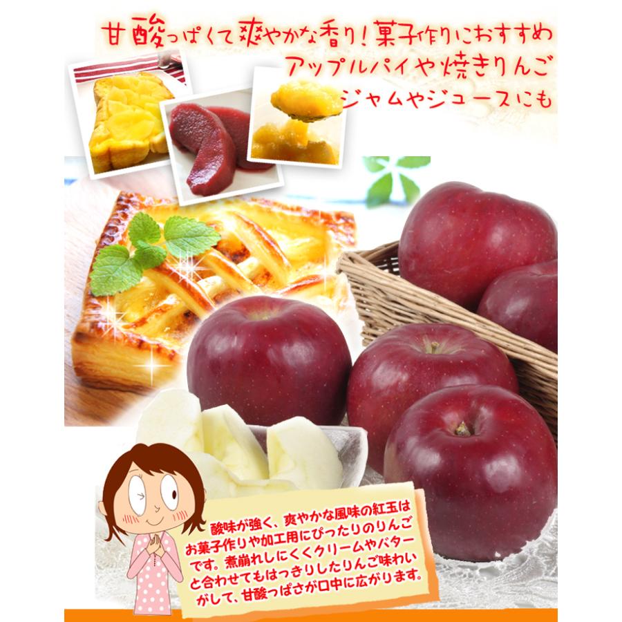 りんご 10kg 紅玉 青森産 ご家庭用 送料無料 食品