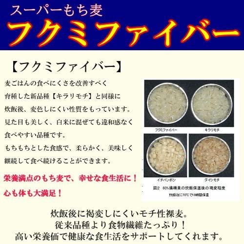 スーパーもち麦 フクミファイバー 950g 岡山県産