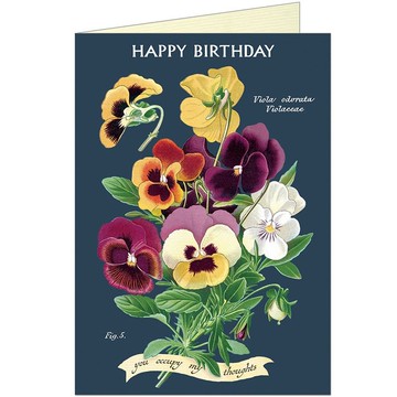 Cavallini & Co.  GREETING CARD 生日卡(大)_香堇菜