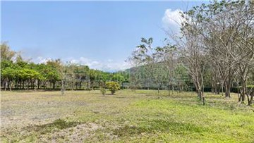 南投國姓柑子林-大坪數乙建+農地+林地｜南投縣國姓鄉柑子林段