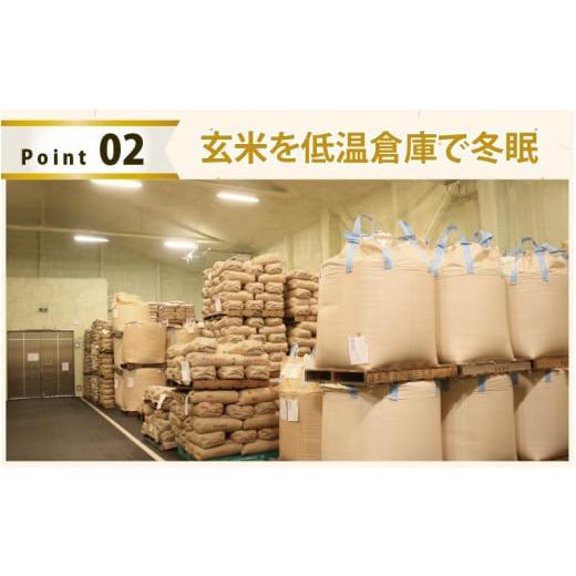 ふるさと納税 福井県 福井市 令和5年産 ふくい東郷米 特別栽培米 減農薬 コシヒカリ 3kg×2袋[A-020008_04]