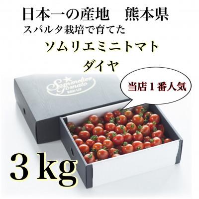 ふるさと納税 玉名市 塩トマトのようなミニトマト「ソムリエミニトマト ダイヤ3kg」