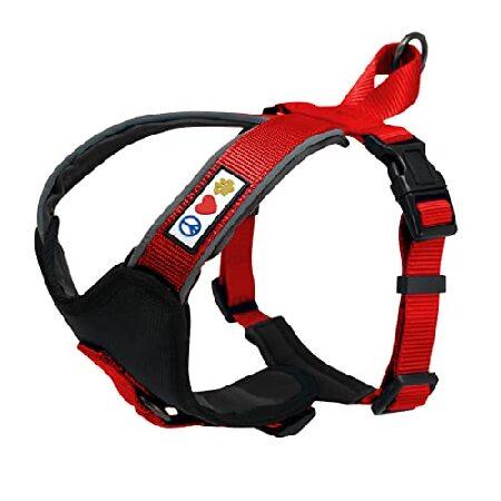 Pawtitas harness best sale