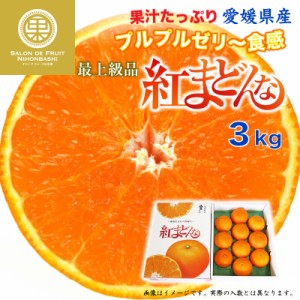 [予約 12月1日から12月10日の納品] 紅まどんな 3kg 愛媛県 化粧箱 最上級品  冬ギフト お歳暮 御歳暮