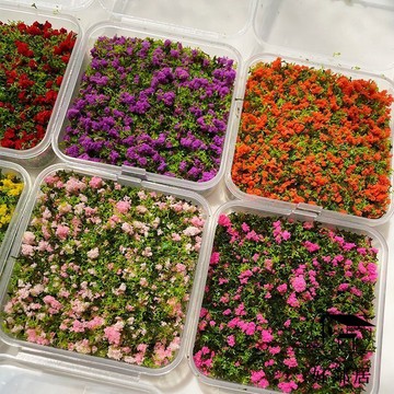 好鄰居📒尼泊爾手賬本 尼珀爾手工本 創意手作  樹粉藝術垃圾雜誌組合仿真花草場景模擬植物 文藝手帳禮物