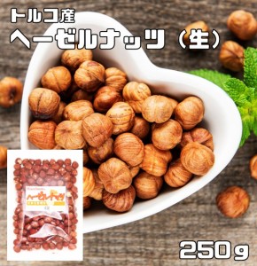 ヘーゼルナッツ （皮付き 生）　250ｇ　　世界美食探究 トルコ産 大粒 無塩 無油 お徳用 国内加工 業務用 製菓材料 製パン材料 おつまみ