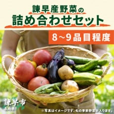 諫早産野菜の詰め合わせ(8～9品目程度)