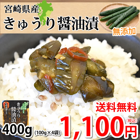 漬物 きゅうり醤油漬 無添加 400g(100g-4袋) 九州醤油仕立て ポッキリ お試し 宮崎県産