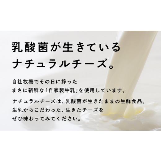 ふるさと納税 北海道 天塩町 べこちちFACTORY★チーズお任せセット５個