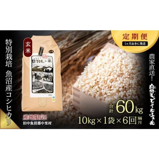 ふるさと納税 新潟県 十日町市 ≪令和5年産≫農家直送！魚沼産コシヒカリ特別栽培「白羽毛の米」玄米(10kg×1袋)×6回…