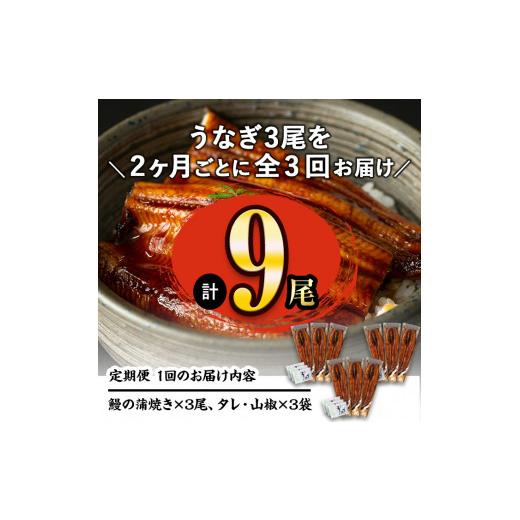 ふるさと納税 鹿児島県 志布志市 2ヵ月に1回お届け！くすだ屋の極上うなぎ(160g×3尾)×3回＜計9尾・1440g以上＞ t007-007