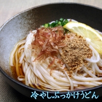 さっとできてさっと食べられる ささっとうどん 10入 (H014116)