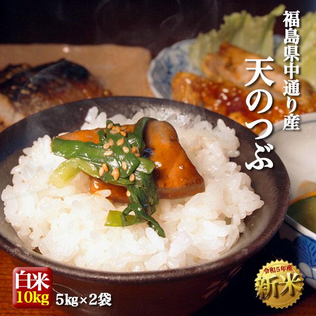  新米 お米 令和5年産 福島県中通り産 天のつぶ 白米:10kg(5kg×2個)  送料無料 ※一部地域を除く