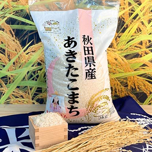 お米 秋田県産あきたこまち 30kg（5kg×6） 令和4年産