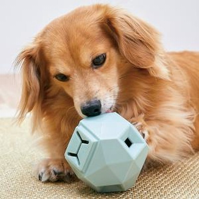 アメニティコンダクツ アップドッグトイズ ミント 犬用おもちゃ 通販 Lineポイント最大get Lineショッピング