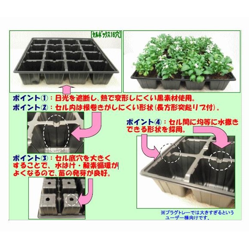 セルトレイ　家庭菜園　種まき資材　黒　セルボックス　セルトレー　育苗に　植物のタネまき　10枚セット　25穴　LINEショッピング