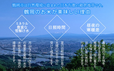 令和5年産 新米 特別栽培米 山形つや姫 定期便 精米10kg（5kg×2袋）×3ヶ月 鶴岡ファーマーズ