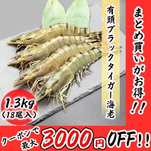 大サイズ 有頭海老 18尾 1.3kg ブラックタイガー BT ブラック 海老 エビ お取り寄せ 食品 冷凍便 プロ愛用