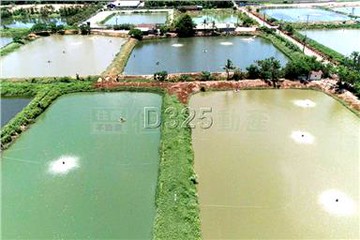 △窗雙面路魚電共生農地｜台南市鹽水區飯店