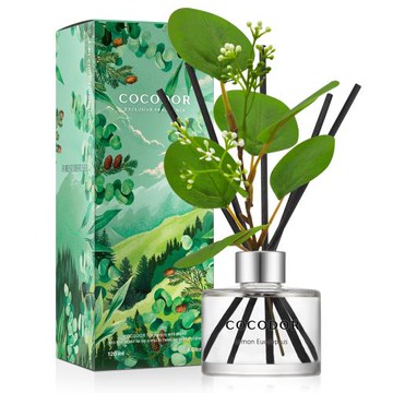 【COCODOR】森林系列擴香瓶120ml (官方直營)