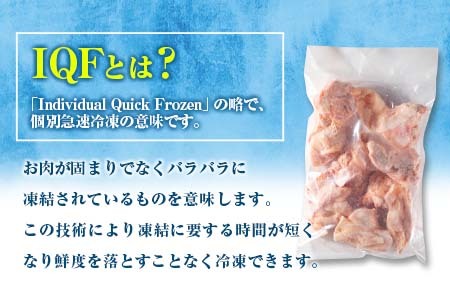 小分けで便利 カット済 若鶏 もも肉 計2.5kg 250g×10袋 肉 鶏 鶏肉 国産 おかず 食品 お肉 チキン 送料無料_B219-23