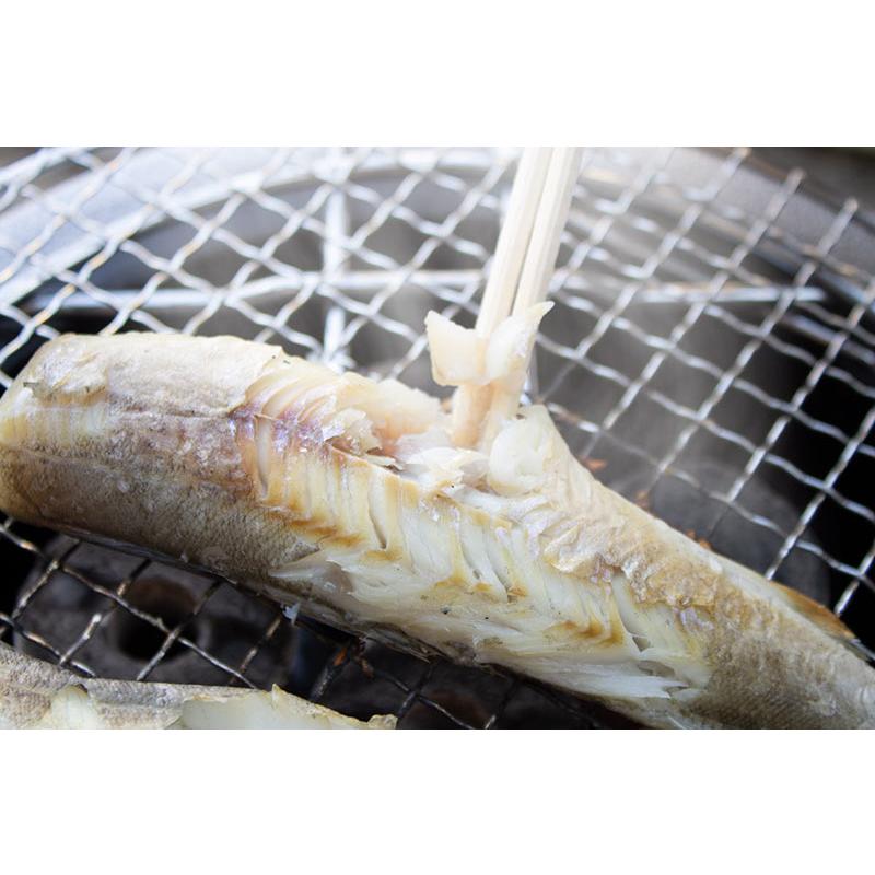 北海道産 こまい 500g前後 Lサイズ 6尾前後 氷下魚 コマイ 生干し 一夜干し 干物 業務用 おつまみ 魚 食べ方