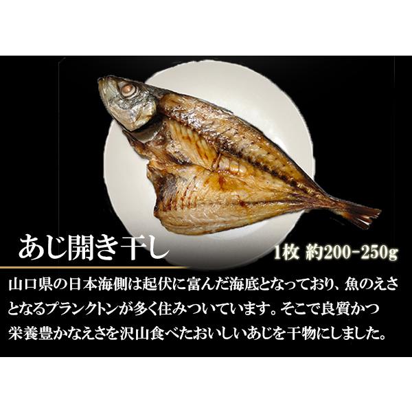 お歳暮 2023 干物 セット 詰め合わせ 6種20尾 高級魚のどぐろ入 ししゃも いわし 塩さば あじ ほっけ