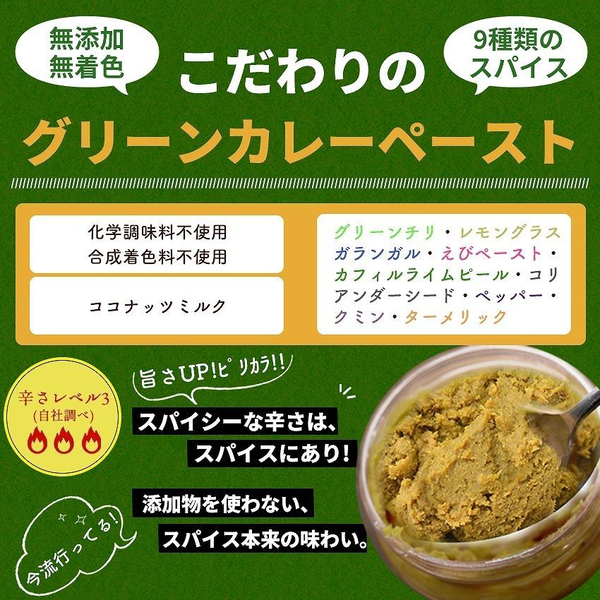 お惣菜 冷凍食品 冷凍 惣菜 無添加 総菜 おかず 宅配 食品 温めるだけ お取り寄せグルメ エスニック タイ料理 カレー タイカレー グリーンカレー 1パック