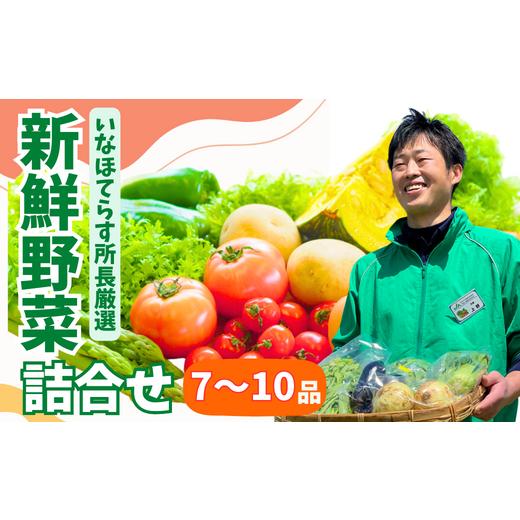 ふるさと納税 埼玉県 東松山市 季節の野菜詰合せセット 7~10品