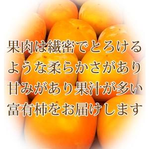 ふるさと納税 和歌山秋の味覚　富有柿　約7.5kg 　※2024年11月上旬〜11月下旬頃に順次発送予定 和歌山県美浜町