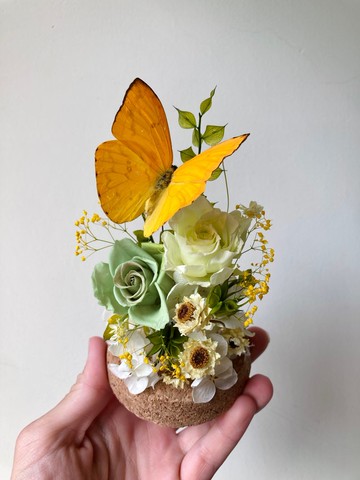 輕盈永生蝴蝶玻璃盅-畢業禮/情人節/訂婚/紀念日/生日/永生花