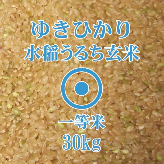 北海道産 ゆきひかり 玄米 30kg　令和5年産　一等米　北海道米