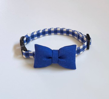 藍綿帶 × 格子領