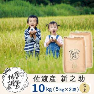 佐渡島産 新之助 玄米10Kg(5kg×2袋)