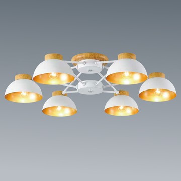 木紋色烤漆造型半吸頂燈 36-60301