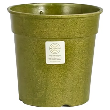 美國 Ecoforms 環保花盆 Pot Grower 16A 亞麻纖維  16 x 16cm  酪梨綠  1個