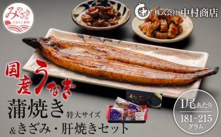 国産うなぎ蒲焼き特大サイズ(181～215g)・きざみ・肝焼きセット