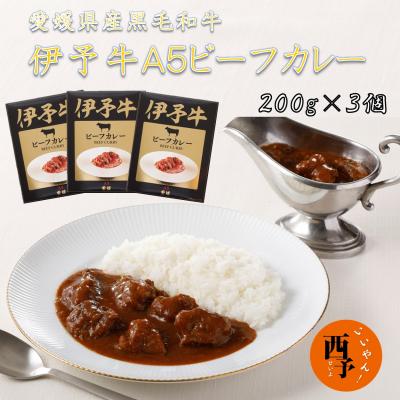 ふるさと納税 西予市 ご当地カレー「伊予牛A5ビーフカレー」