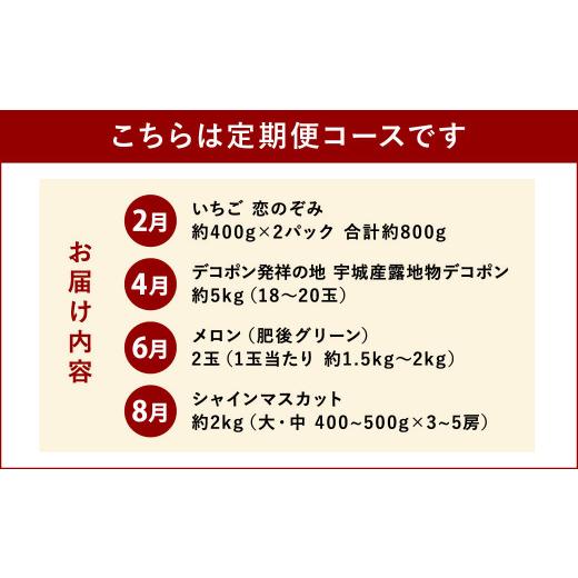 ふるさと納税 熊本県 宇城市  宇城市産 旬の フルーツ 定期便