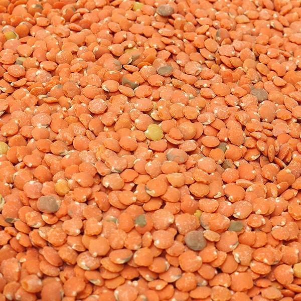 皮むきレンズ豆 (1kg) アメリカ産 