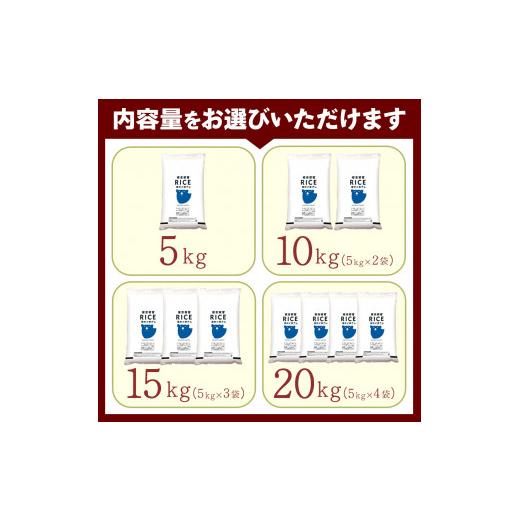 ふるさと納税 熊本県 玉名市 森のくまさん 白米 20kg （5kg×4袋）×3回