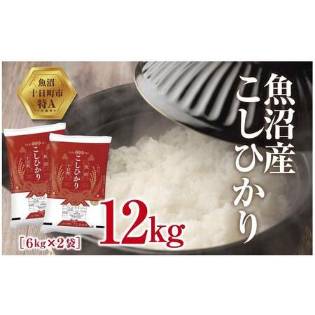 ふるさと納税 魚沼産 こしひかり 6kg ×2袋 計12kg 米 コシヒカリ お米 コメ 新潟 魚沼 魚沼産 白米 送料無料 新潟県産 精米 産直 産地直.. 新潟県十日町市