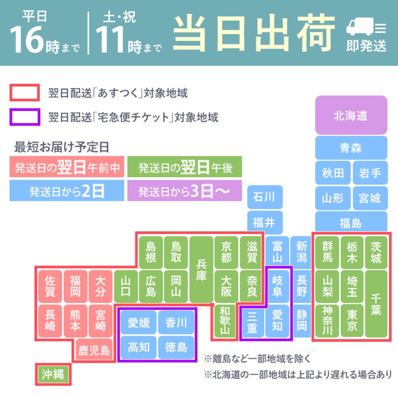 喪服 レディース ブラックフォーマル 礼服 5点セット ロング丈 大きい