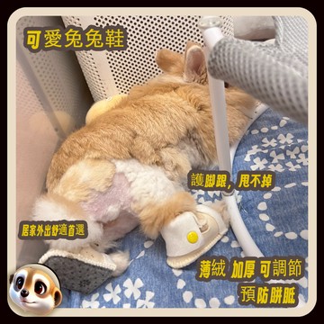 【XL-LX】寵物兔子鞋襪 腳炎 胼胝 護腳 跟甩不掉 外出 居家舒適
