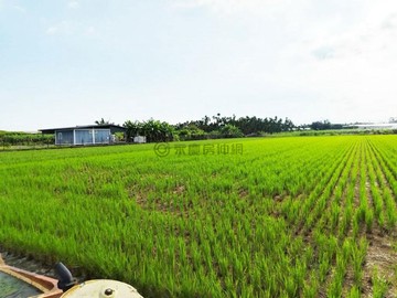 萬丹臨路都外農地｜屏東縣萬丹鄉新安段