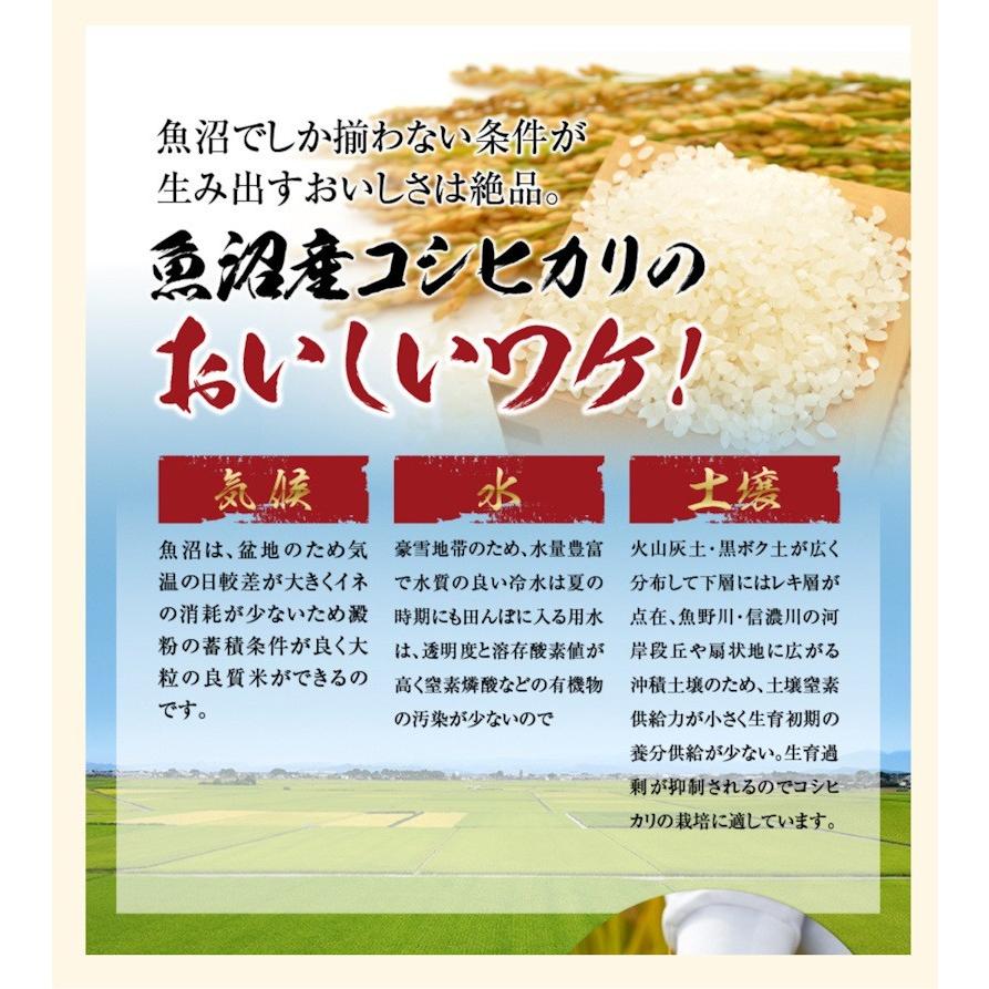 令和５年産新米 コシヒカリ 5kg 特Ａ地区 魚沼産 新潟県 中魚沼 JA津南町農協 産地限定 名水の恵 送料無料