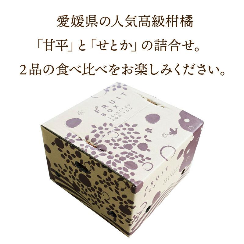   フルーツ 愛媛県産 せとか   甘平 約2kg （ L〜２Lサイズ せとか4玉   甘平4玉 計8玉 ） 果物 柑橘 みかん 食べ比べ 送料無料 NENP013