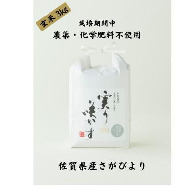 ふるさと納税 佐賀市 「実り咲かす」 栽培期間中 農薬・化学肥料不使用　さがびより　玄米3kg